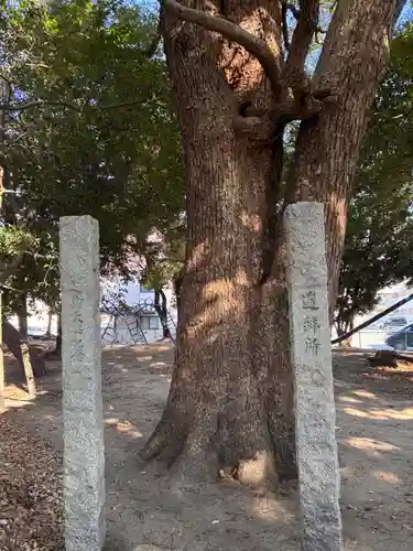 厳島神社の自然