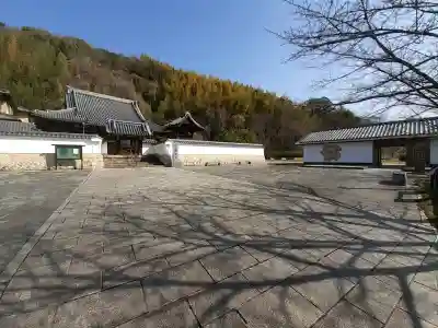 西光寺の{uncategorized: "未分類", other: "その他", undefined: "問題あり", building: "その他建物", grave: "お墓", sacred_gate: "鳥居", guardian: "狛犬", statue: "像", buddha: "仏像", history: "歴史", nature: "自然", garden: "庭園", animal: "動物", pagoda: "塔", temizu: "手水舎", mountain_gate: "山門・神門", sanctuary: "本殿・本堂", subordinate: "末社・摂社", art: "芸術", scenery: "景色", jizo: "地蔵", ema: "絵馬", goshuin: "御朱印", omikuji: "おみくじ", items: "授与品その他", amulet: "お守り", goshuincho: "御朱印帳", eats: "食事", festival: "お祭り", votive_dance: "神楽", shichigosan: "七五三参", wedding: "結婚式", experience: "体験その他", initially: "初詣", around: "周辺", anti_infection: "感染症対策"}