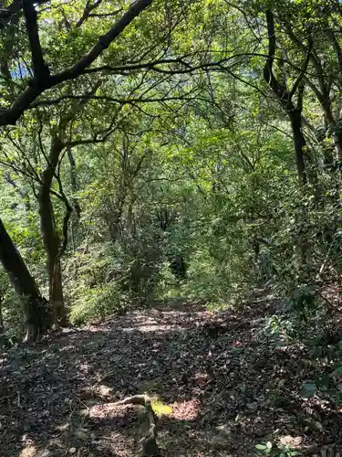 農神社(徳島県)