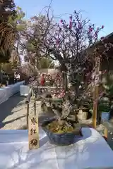 菅原天満宮（菅原神社）の建物その他