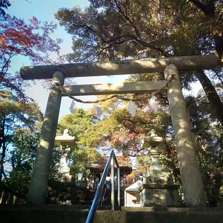 唐澤山神社の鳥居