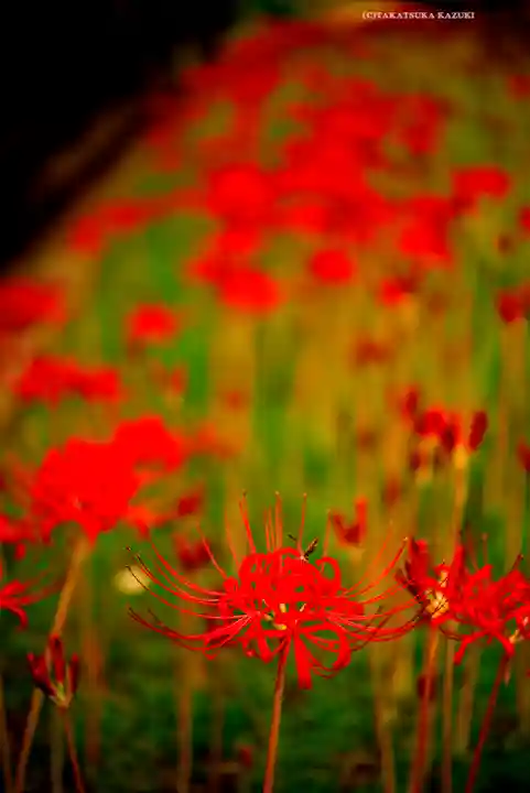 横浜 西方寺(神奈川県)