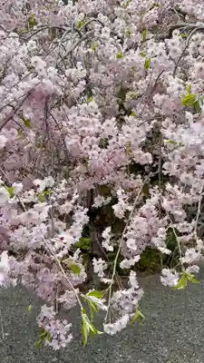 慈眼寺(京都府)