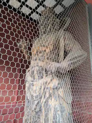 普明寺大日堂(東京都)