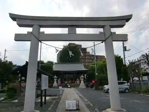 朝日氷川神社の鳥居