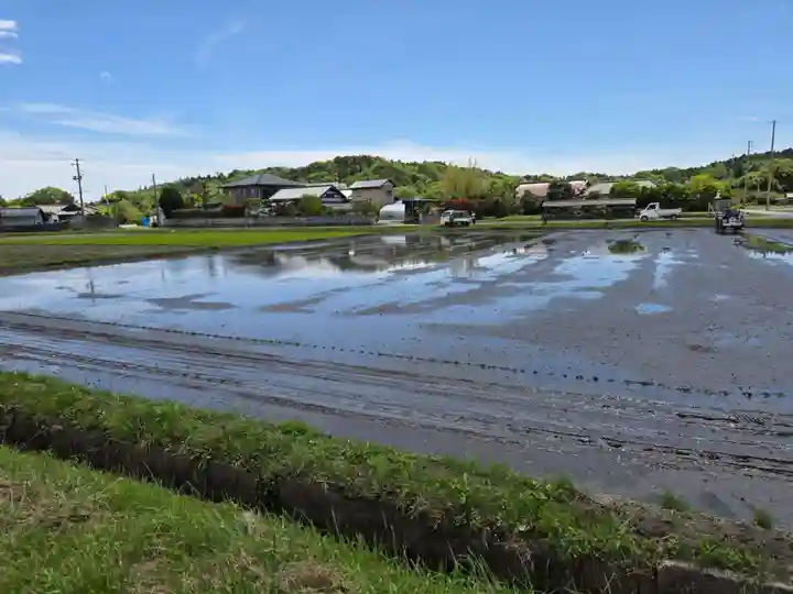 大國魂神社の景色