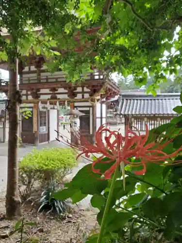 沙沙貴神社の庭園