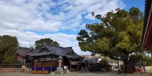 百舌鳥八幡宮(大阪府)