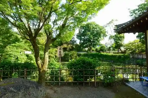 萬福寺の庭園