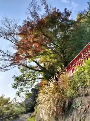 請田神社(京都府)