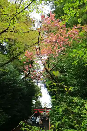 大崎八幡宮の建物その他