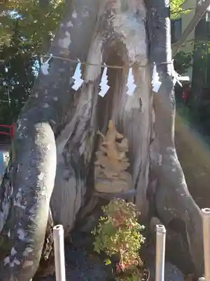 秩父今宮神社(埼玉県)