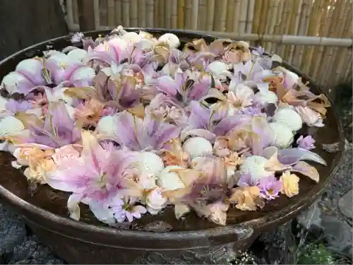 武蔵一宮氷川神社(埼玉県)
