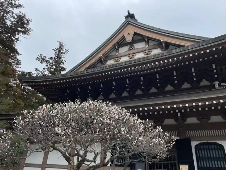 円覚寺(神奈川県)
