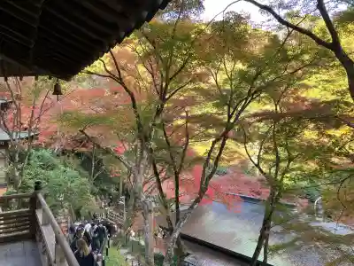 愛宕念仏寺(京都府)
