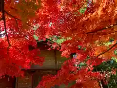 滑川神社 - 仕事と子どもの守り神の自然