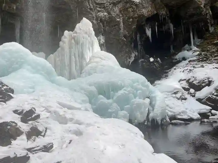上尾御嶽神社の自然