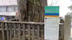 熊野大社の建物その他