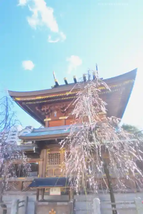湯島天満宮(東京都)