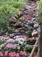 長谷寺(奈良県)
