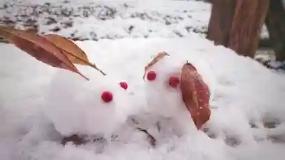 尾張大國霊神社(国府宮)の芸術