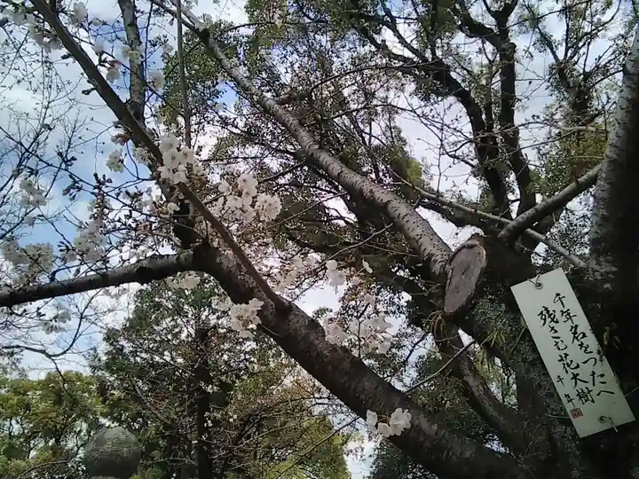 那古野神社の自然