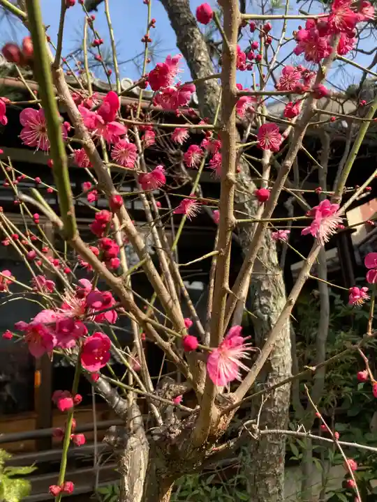 福田寺(京都府)