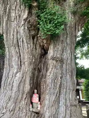 飛騨国分寺(岐阜県)
