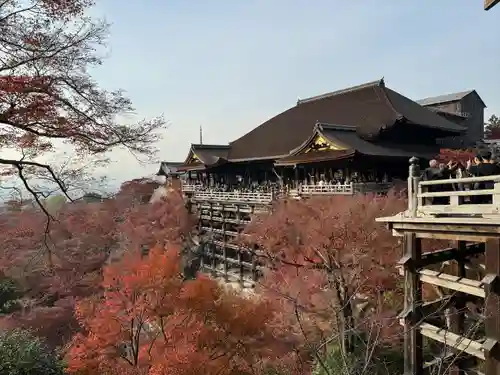 清水寺の本殿・本堂