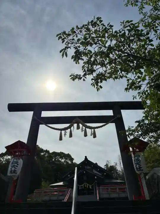 神祇大社の{uncategorized: "未分類", other: "その他", undefined: "問題あり", building: "その他建物", grave: "お墓", sacred_gate: "鳥居", guardian: "狛犬", statue: "像", buddha: "仏像", history: "歴史", nature: "自然", garden: "庭園", animal: "動物", pagoda: "塔", temizu: "手水舎", mountain_gate: "山門・神門", sanctuary: "本殿・本堂", subordinate: "末社・摂社", art: "芸術", scenery: "景色", jizo: "地蔵", ema: "絵馬", goshuin: "御朱印", omikuji: "おみくじ", items: "授与品その他", amulet: "お守り", goshuincho: "御朱印帳", eats: "食事", festival: "お祭り", votive_dance: "神楽", shichigosan: "七五三参", wedding: "結婚式", experience: "体験その他", initially: "初詣", around: "周辺", anti_infection: "感染症対策"}