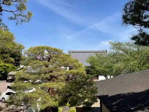 光明寺（粟生光明寺）(京都府)