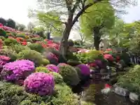 根津神社の庭園