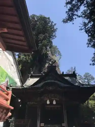 榛名神社の本殿