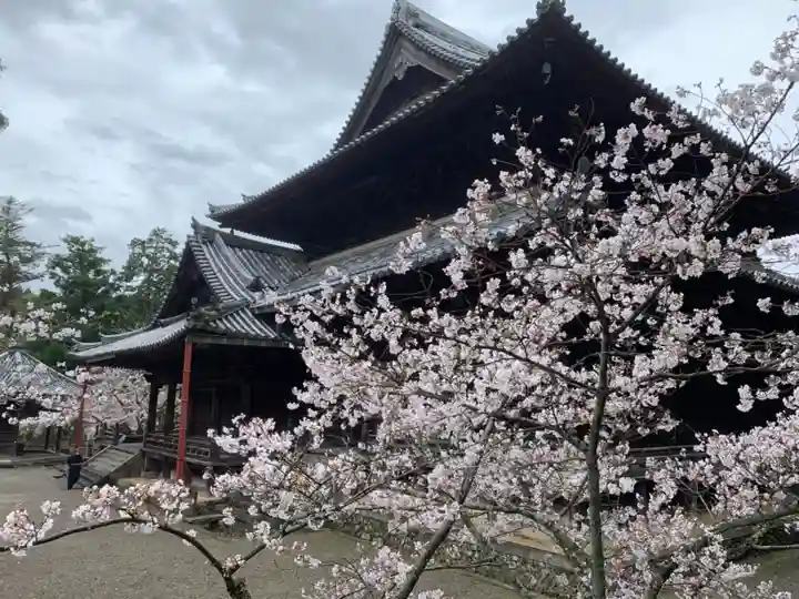 粉河寺の本殿・本堂