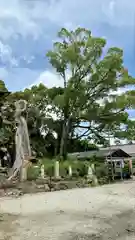 吉祥草寺(奈良県)