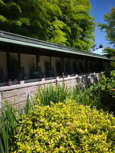 浄明院(愛媛県)