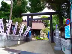 高円寺氷川神社の鳥居