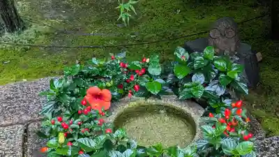 勝林寺(京都府)