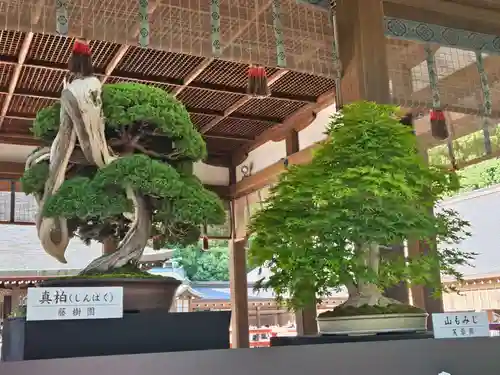 武蔵一宮氷川神社(埼玉県)