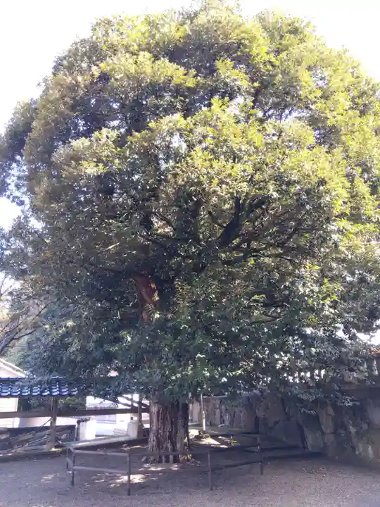 瀬戸菅原神社(石川県)