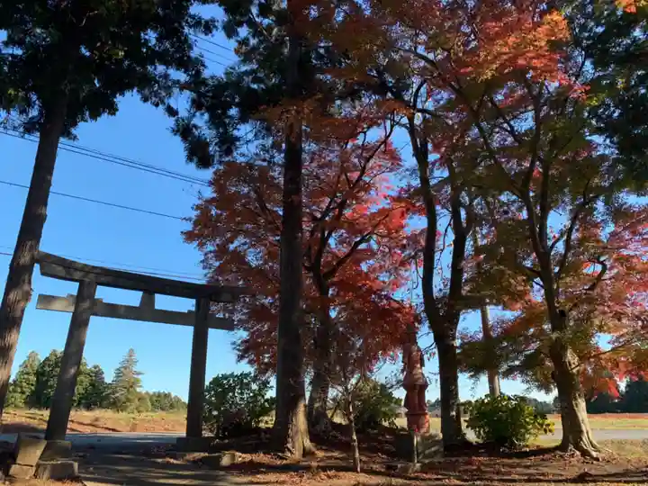 稲荷神社(千葉県)