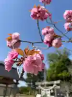 鹿島台神社の自然