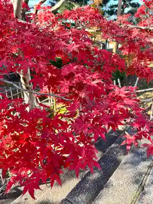 くろ谷 金戒光明寺(京都府)