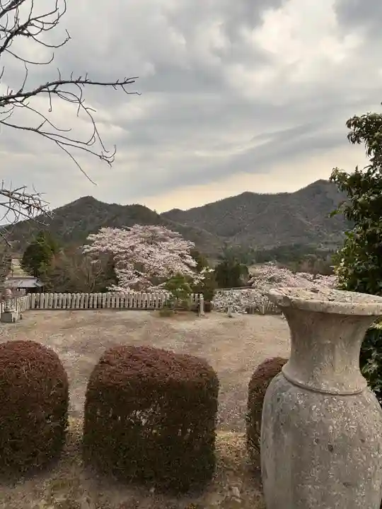 和田寺(兵庫県)