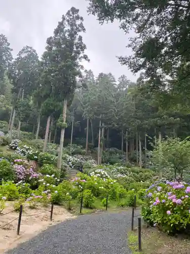 千光寺の庭園