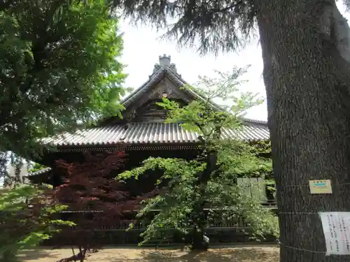 寛永寺(根本中堂)(東京都)