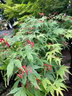 弘道館鹿島神社(茨城県)