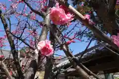 氷室神社の自然