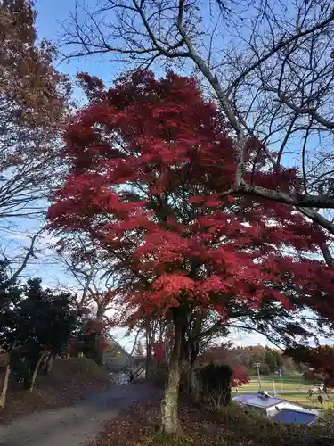 長屋神社(福島県)