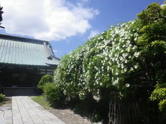 九品寺のその他建物